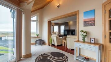 Televisión, chimenea, reproductor de DVD