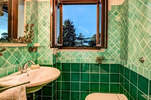 Shower, hair dryer, bidet
