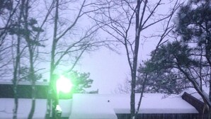 Un sentiero innevato che conduce a un edificio con tetto verde.