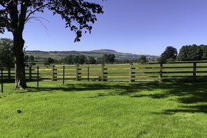Terrain de l’hébergement 