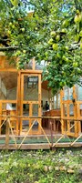 Um edifício rústico de madeira com área de estar coberta e uma macieira com maçãs verdes.