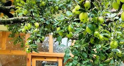 nine Apple Resort Dharali Harsil