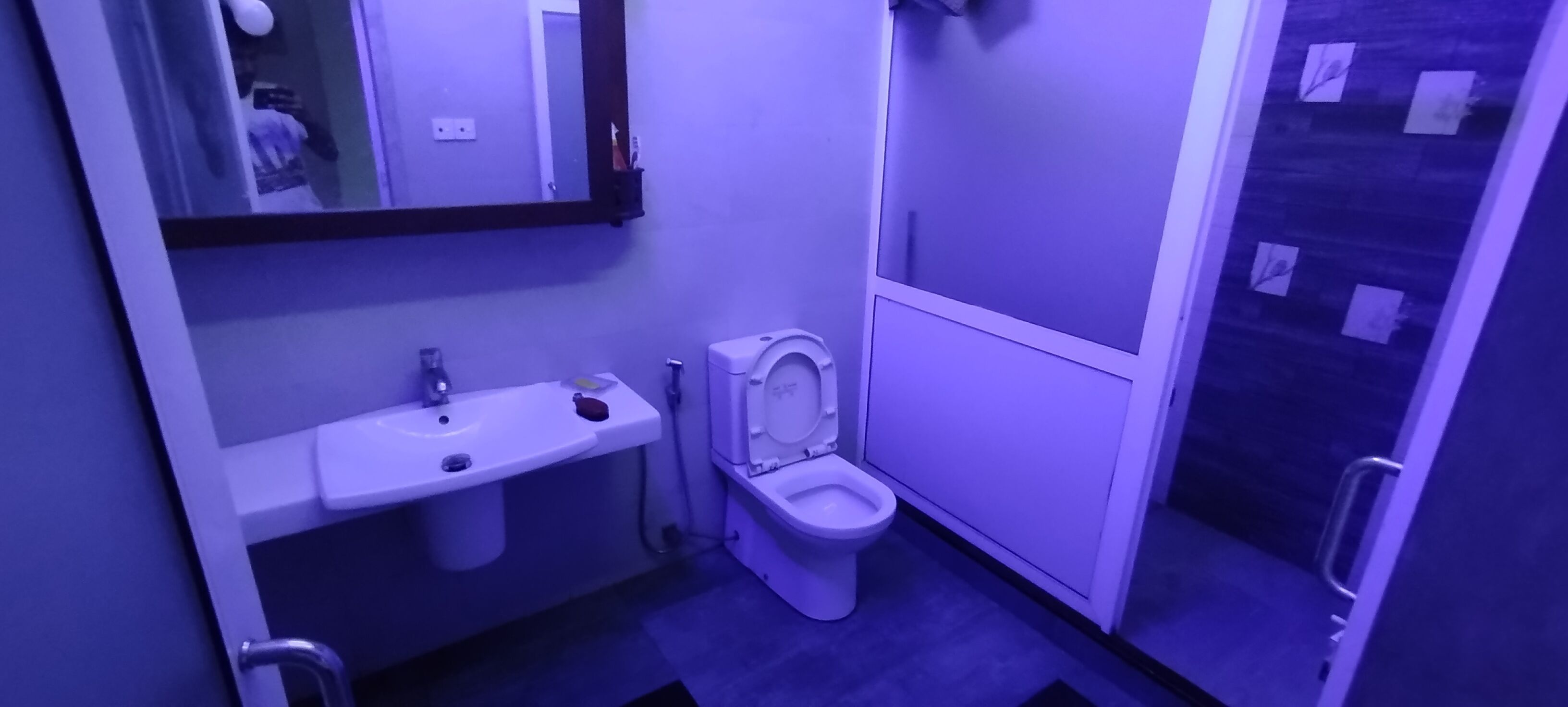 Shower, bidet, soap, toilet paper