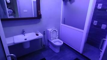 Shower, bidet, soap, toilet paper