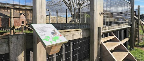 Maison | Vue depuis l’hébergement