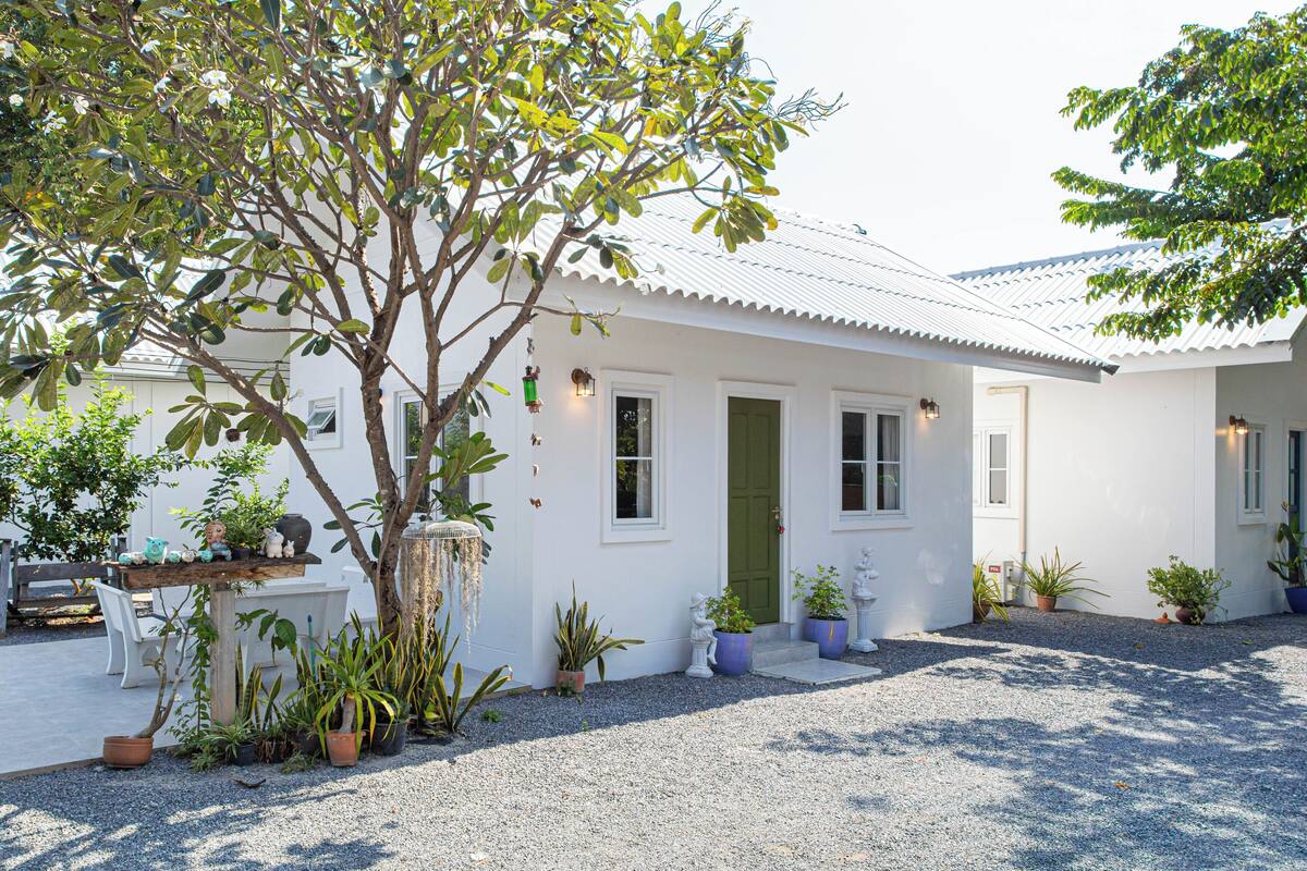 Een wit huis met een groene deur, omringd door potplanten en een grindpad.