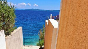 A balcony with a potted succulent plant, a clear view of the sea, and a white railing.