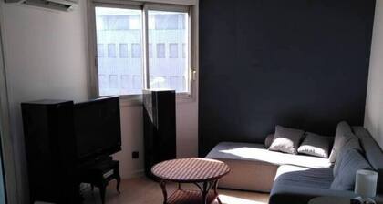 Bel appartement en face du centre historique, idéal pour découvrir Montpellier