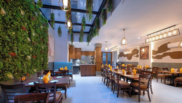 A restaurant with a high ceiling, hanging plants, and wooden furniture. - Nest By TreeHouse Stamp Amritsar (Amritsar)