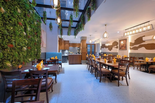 TreeHouse Stamp Amritsar