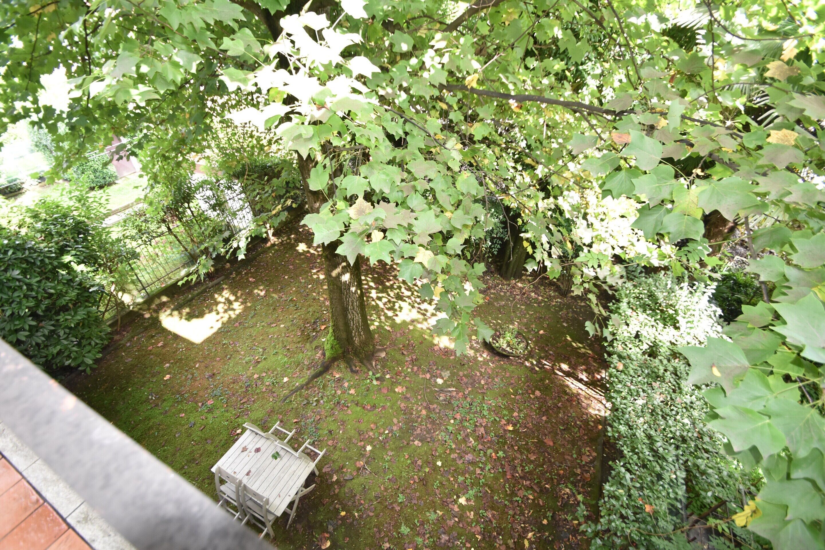 A tree-lined courtyard with a table and chairs, surrounded by dense foliage and a small pond.