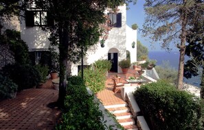 A white building with a black door, surrounded by potted plants and a brick pathway leading to a seating area.