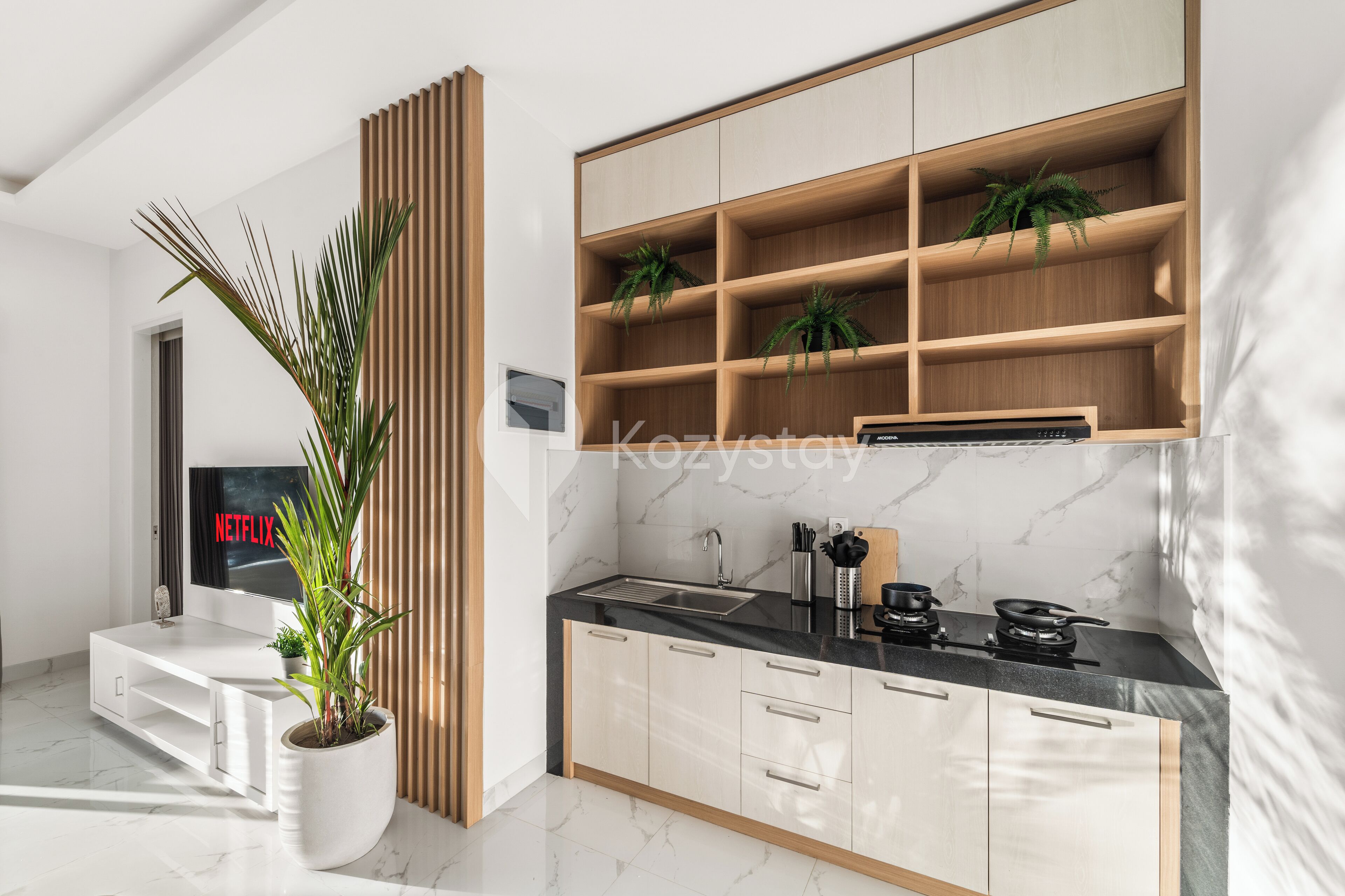 A modern kitchen with a built-in TV, wooden shelves, and a potted plant.