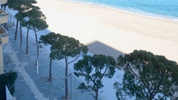 A beach with a clear view of the ocean and a row of trees in the foreground. - Cozy apartment with WiFi and parking in Platja d'Aro (Platja d'Aro)