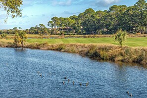 Campo de golf con un cuerpo de agua y árboles.