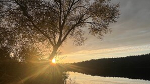 Tyyni järvi auringonnousun aikaan, etualalla puu ja taustalla metsäinen kukkula.