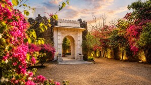 Un jardín con un arco blanco, suelo de grava y plantas en flor.