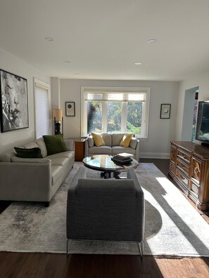 TV connectée, cheminée, livres, chaîne hi-fi