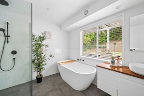 Shower, hair dryer, towels
