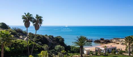 A coastal view with a clear sky, a swimming pool, and a beach area with palm trees.