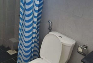Shower, hair dryer, bidet, soap