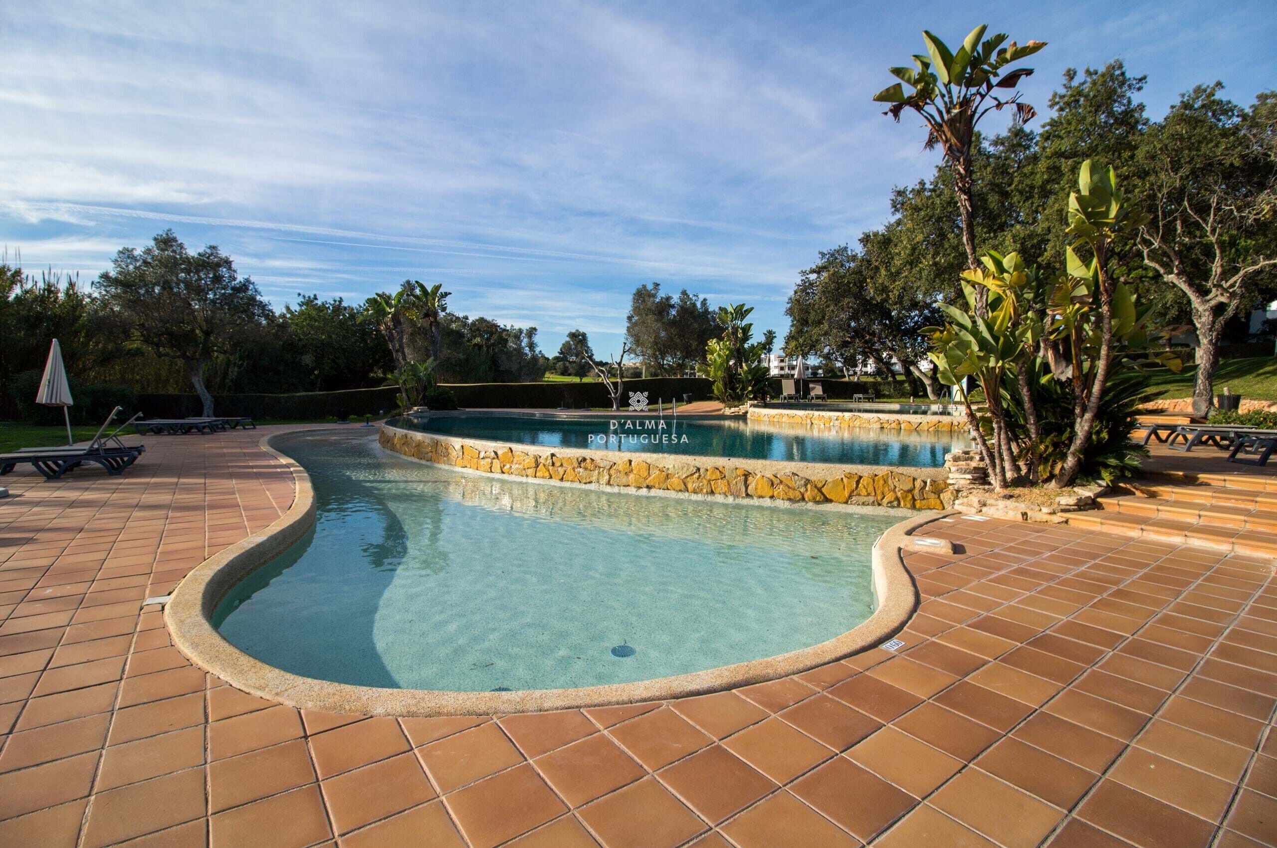 A swimming pool with a curved edge, surrounded by a tiled deck, and palm trees in the background.