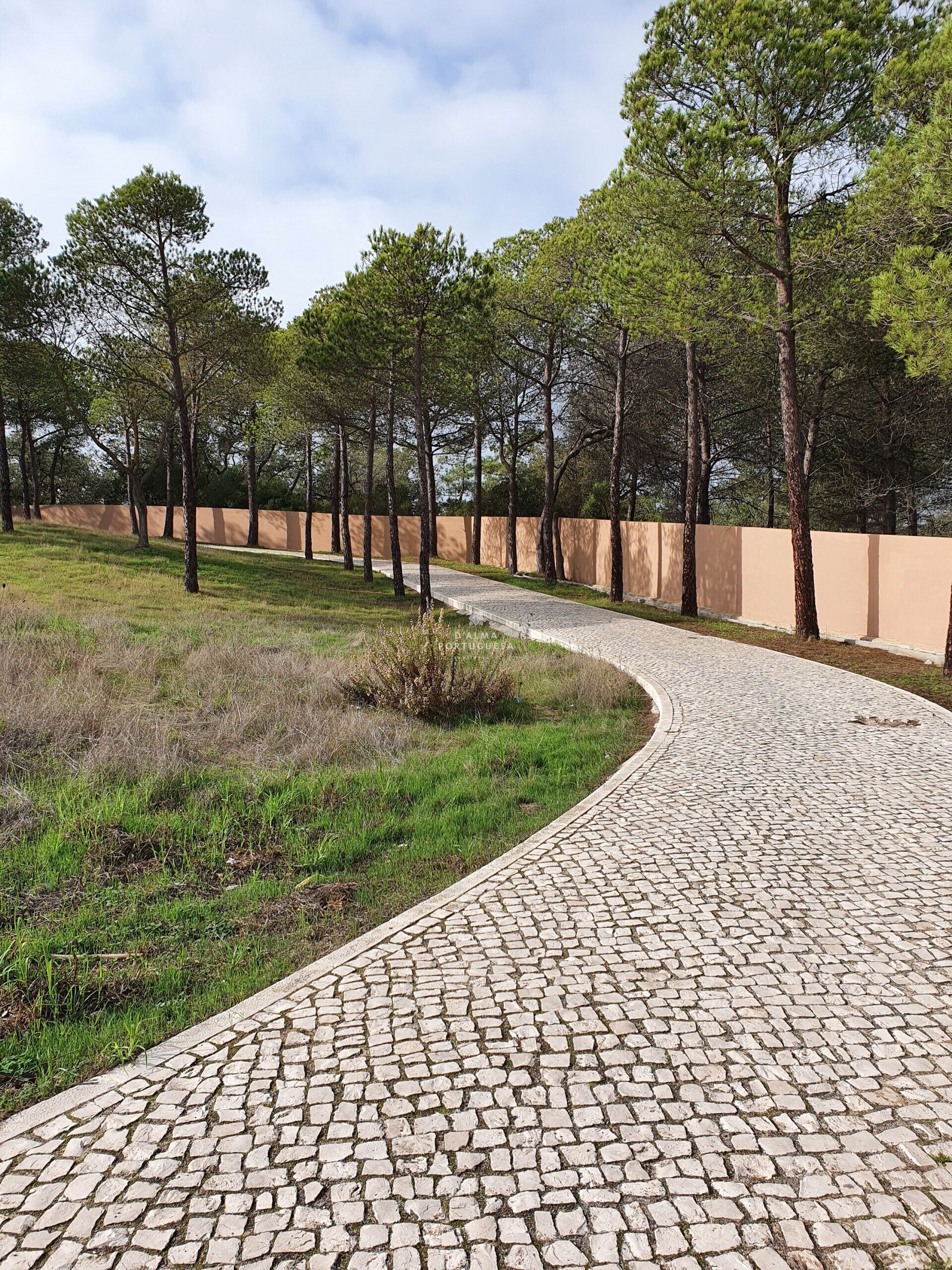 Un camino empedrado serpentea por un parque con árboles y un muro bajo.
