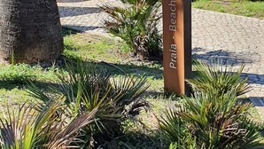 A signpost with 'Praia - Beach' and an arrow pointing left, surrounded by tropical plants and a tree. - Apartamento do Pinhal D'alma Portuguesa (Albufeira)