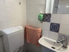 Shower, towels, soap, toilet paper