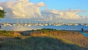 A beach with numerous sailboats anchored in the water, a person walking on the sand, and a cloudy sky. - Private Deck, Parking, Walk to Town! (Provincetown)