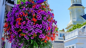 Ein Gebäude mit einem Glockenturm, einem Blumenkorb und einer Regenbogenflagge.