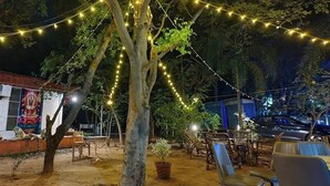Un espacio al aire libre con luces colgantes, árboles y un edificio con murales.