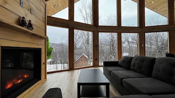 TV, fireplace, stereo