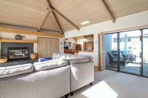 TV, fireplace, books, offices