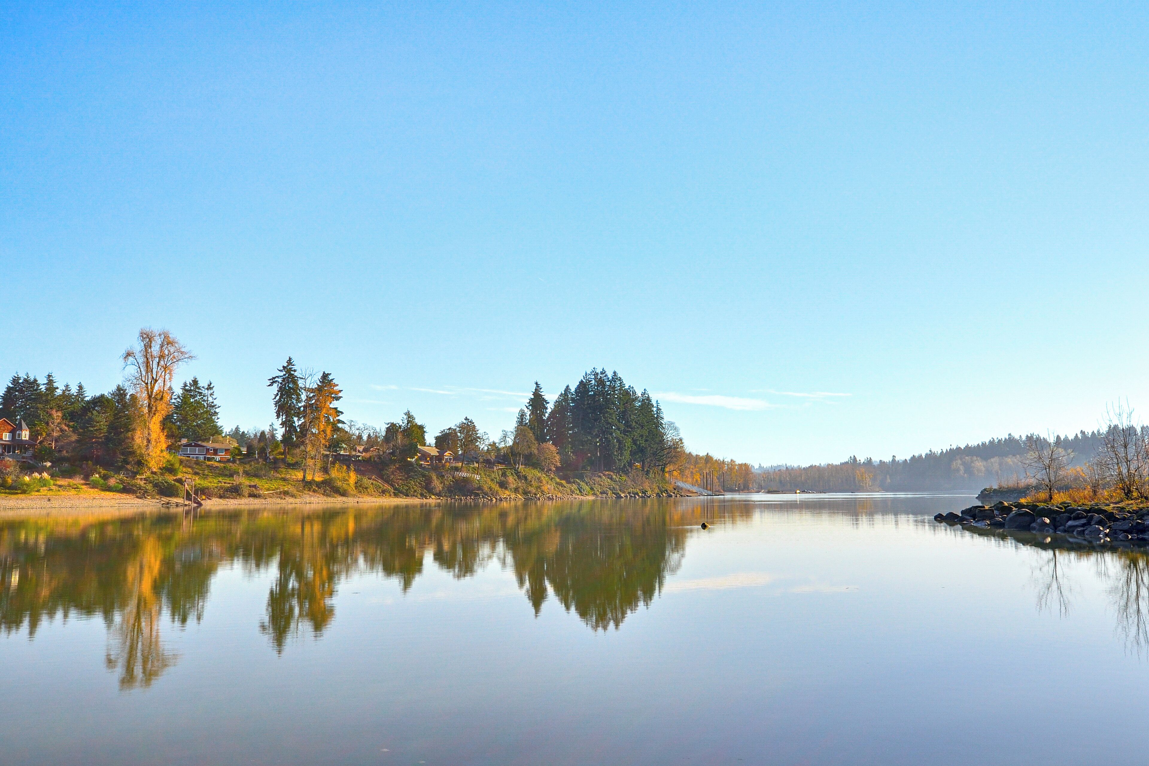 A calm lake with reflections of trees and a clear sky.