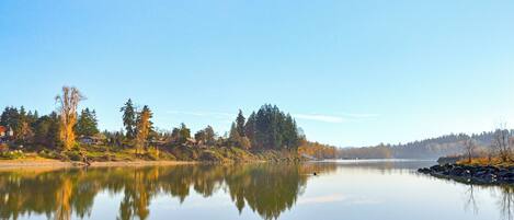 A calm lake with reflections of trees and a clear sky.