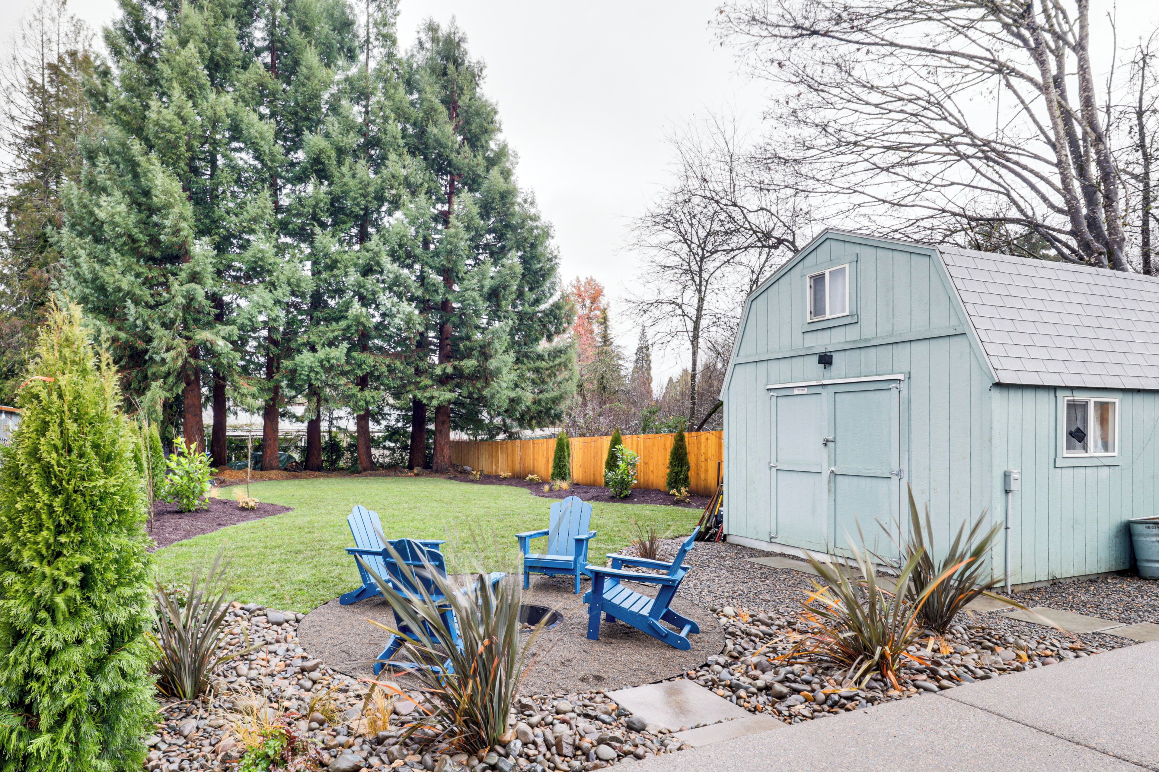 A backyard with a shed, two blue Adirondack chairs, a lawn, and a variety of plants.