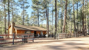 Un rustico chalet con rivestimento in legno, circondato da alti pini.