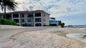 Una propiedad frente a la playa con un edificio de varios pisos, una playa de arena y una palmera.