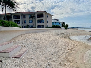 A beachfront property with a multi-story building, a sandy beach, and a palm tree.