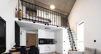 RentPlanet - Lofty nad WartÄ