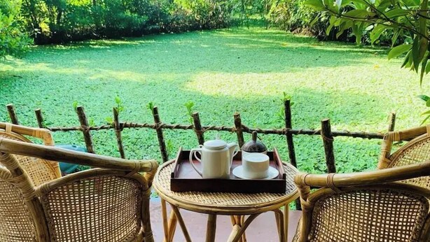 Deluxe Villa, Lake View | Living area - Ashok villa (Mirissa)