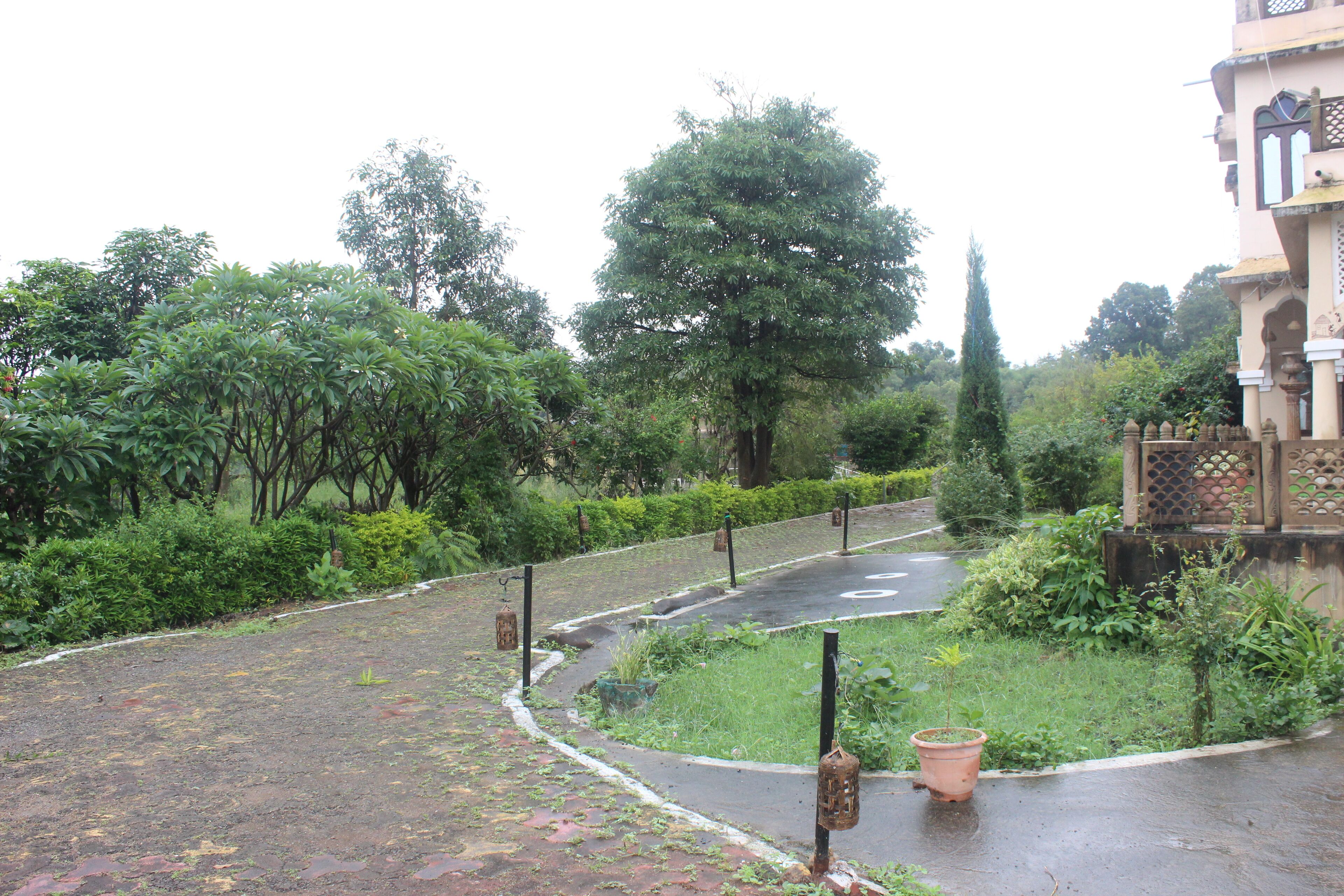 A curved pathway in a lush green area with a building on the right.