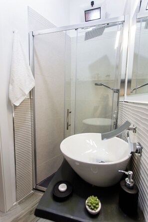 Regadera, secadora de cabello, bidet, toallas