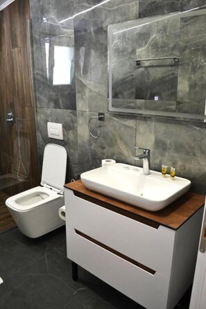 Shower, free toiletries, hair dryer, bathrobes
