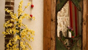 En gul blommande växt i en kruka, en rustik trädörr och en dekorativ spegel.