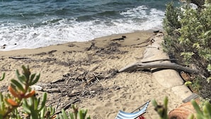 A beach with driftwood, a rocky outcrop, and two striped beach chairs. - Beautiful, comfortable vacation apartment for 4 people in Cavalaire sur Mer. (Cavalaire-sur-Mer)
