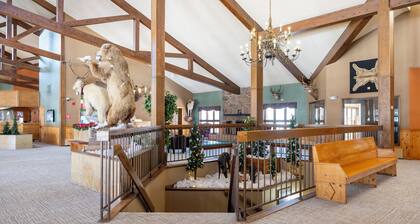 Second floor, pet friendly studio in Granby