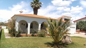 Un edificio con techo de tejas, ventanas de arco y un pequeño jardín con una palmera.