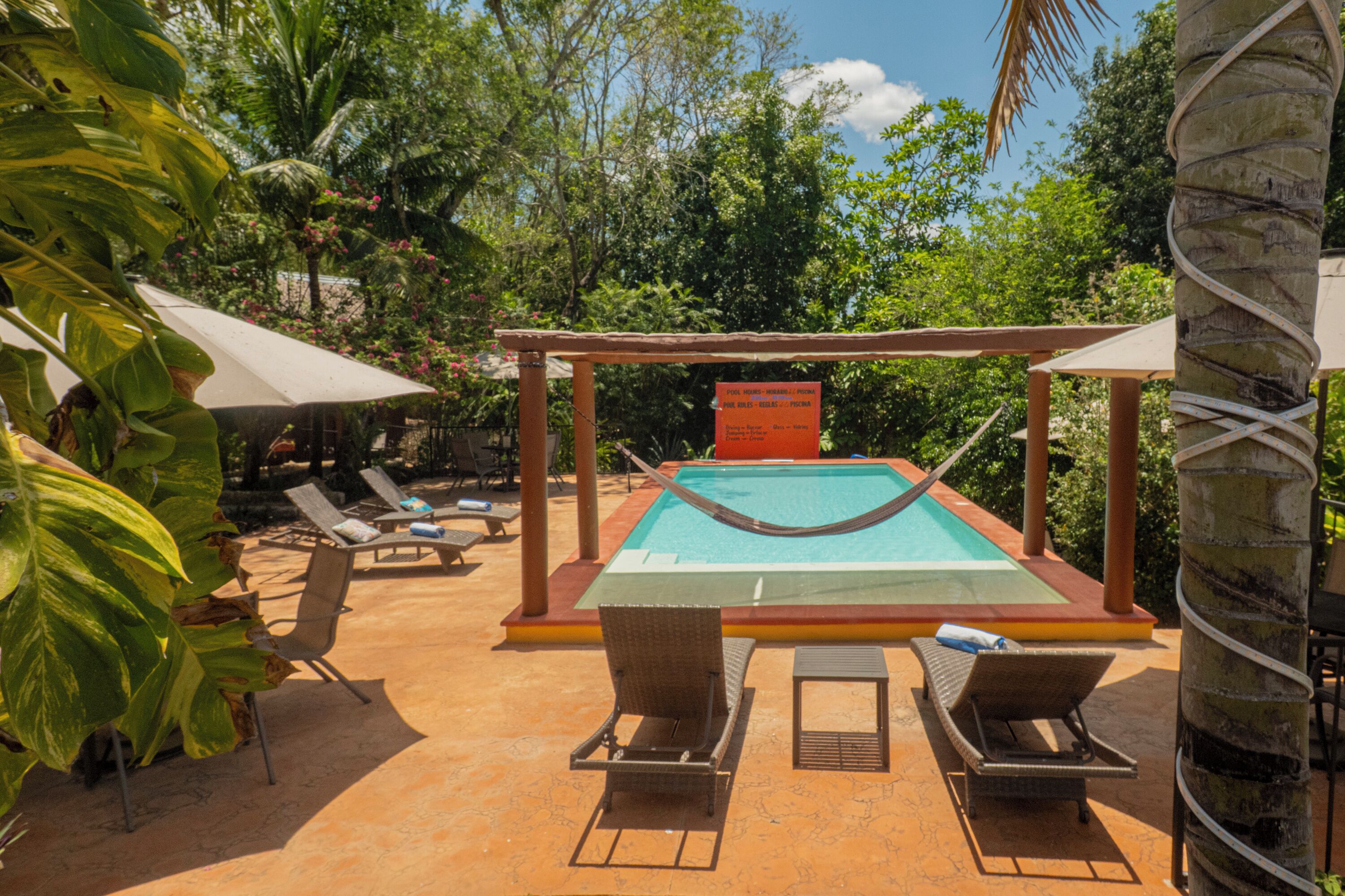 A pool area with lounge chairs and umbrellas, surrounded by tropical plants.
